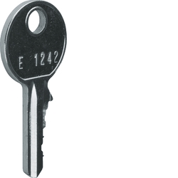 Запасной ключ для замка FZ597N, № замка. 1242E,  для щитов Hager FWU, FWB / FZ596