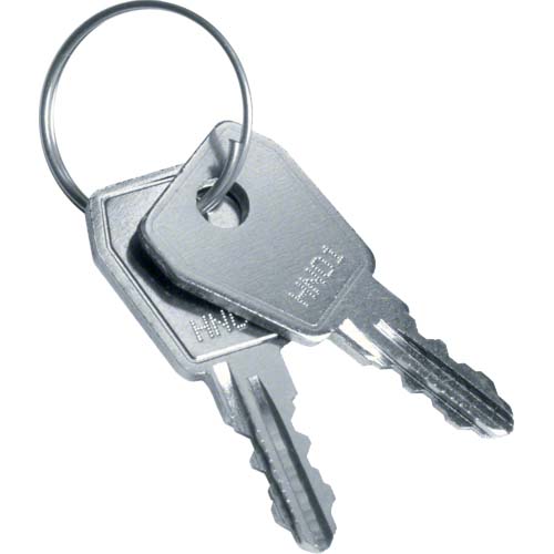 Ключи запасные для щитов Volta / Hager VZ304N - фото 1